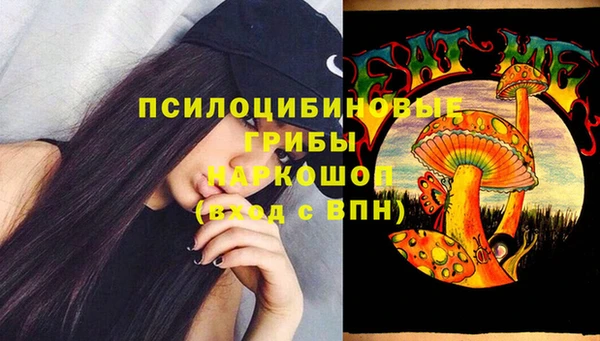 mix Абаза