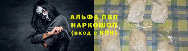 стаф Абинск