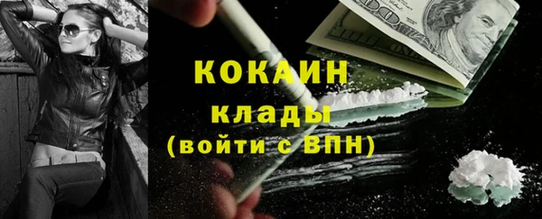 стаф Абинск