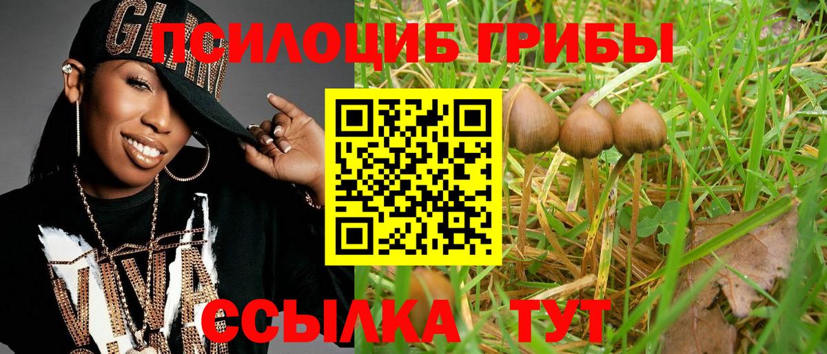 Псилоцибиновые грибы Magic Shrooms  Галлюциногенные грибы Cubensis  Донецк  цены наркотик  Вход с VPN 