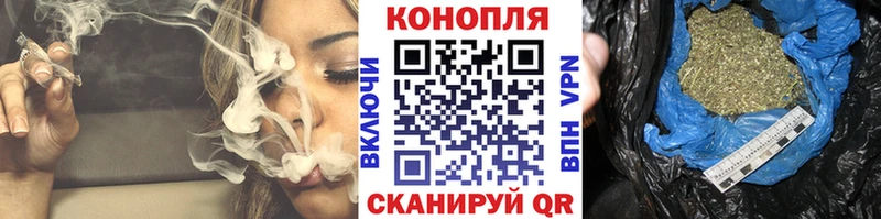 купить наркотики сайты  Донецк  Шишки марихуана сатива 